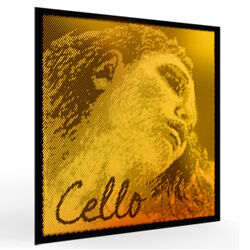 סט מיתרים לצ'לו פירסטרו אווה פירצי גולד Pirastro EVAH PIRAZZI GOLD Cello Set 335020