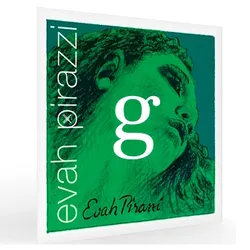 EV g