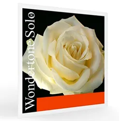 סט מיתרים לכינור פירסטרו וונדרטון סולו 4/4 Pirastro Wondertone Solo