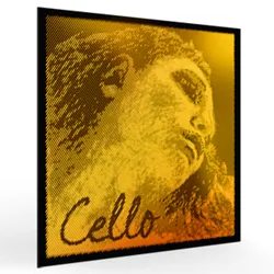 סט מיתרים לצ'לו פירסטרו אווה פירצי גולד Pirastro EVAH PIRAZZI GOLD Cello Set