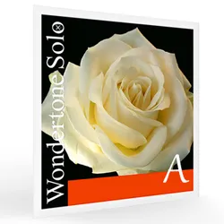 מיתר לה לכינור פירסטרו וונדרטון סולו Pirastro Wondertone Solo Violin -A