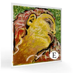 מיתר מי לכינור אווה פירצי נאו Pirastro Evah Pirazzi NEO Violin E