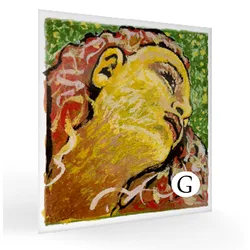 מיתר סול לכינור אווה פירצי נאו Pirastro Evah Pirazzi NEO Violin G